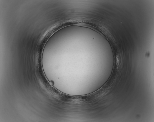 X0000116640396200912291559