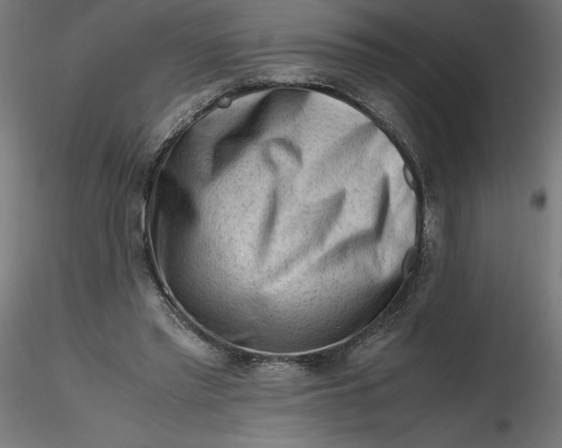 X0000116640397200912291559