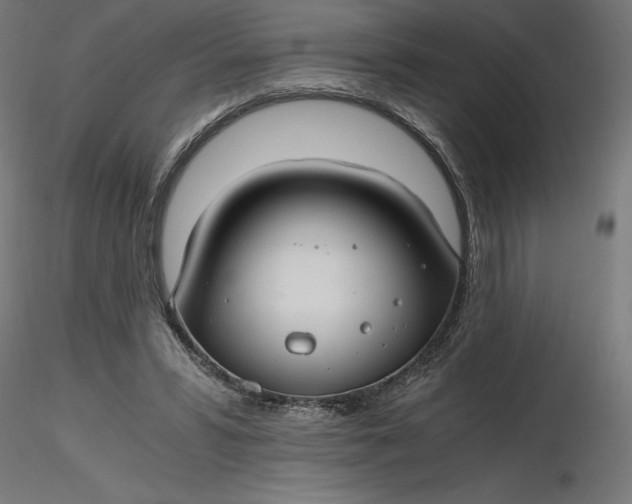 X0000116640399200912291559