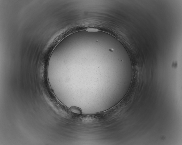 X0000116640400200912291559