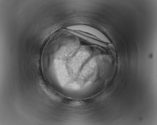 X0000116640402200912291559