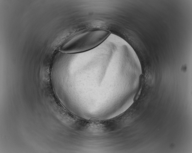 X0000116640403200912291559