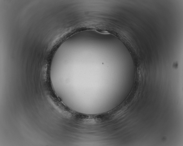 X0000116640404200912291559