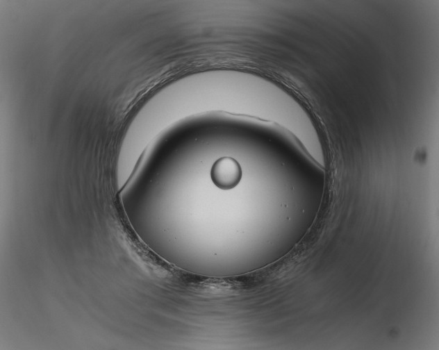 X0000116640405200912291559