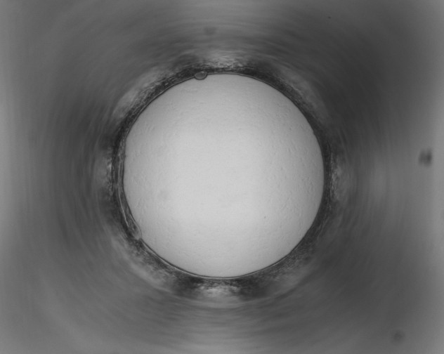 X0000116640407200912291559