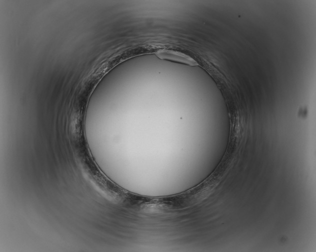 X0000116640408200912291559