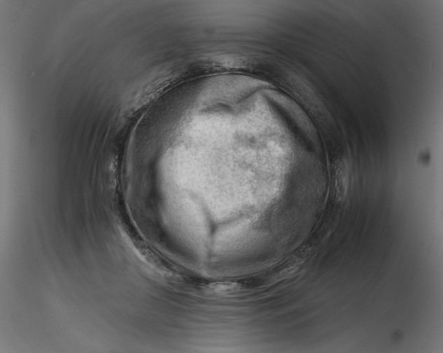 X0000116640410200912291559