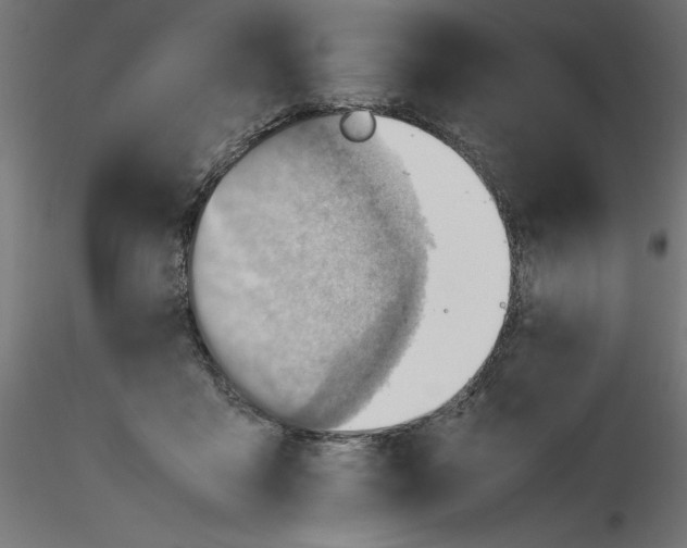 X0000116640411200912291559