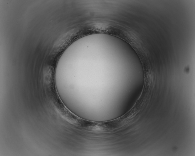 X0000116640412200912291559