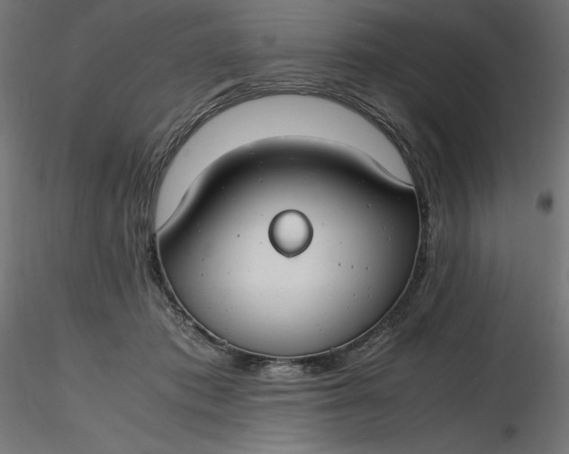 X0000116640413200912291559