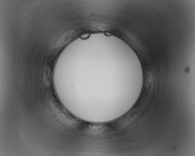 X0000116640414200912291559