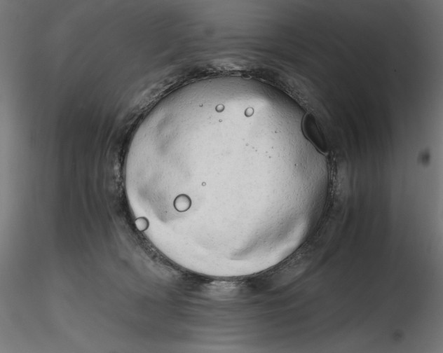 X0000116640418200912291559