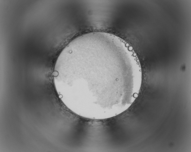 X0000116640419200912291559