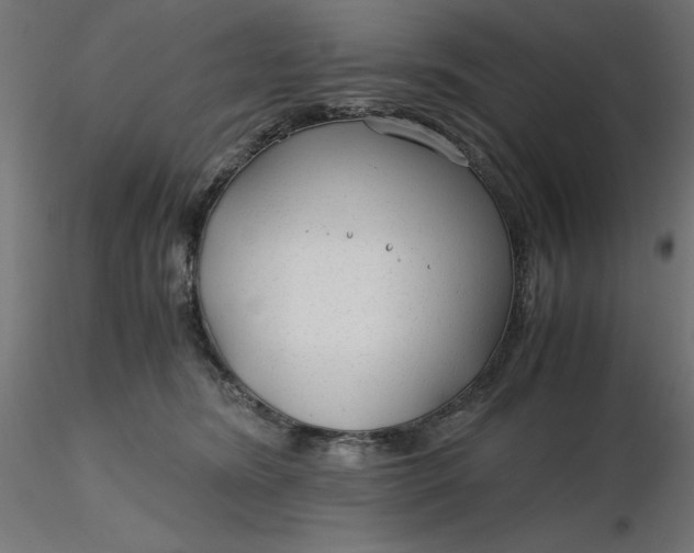 X0000116640420200912291559