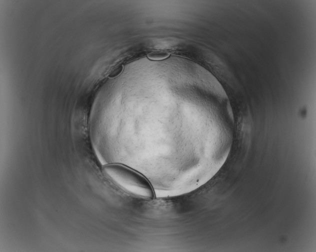 X0000116640421200912291559