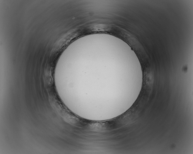 X0000116640422200912291559