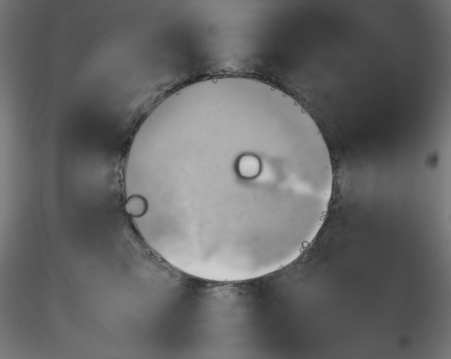 X0000116640423200912291559