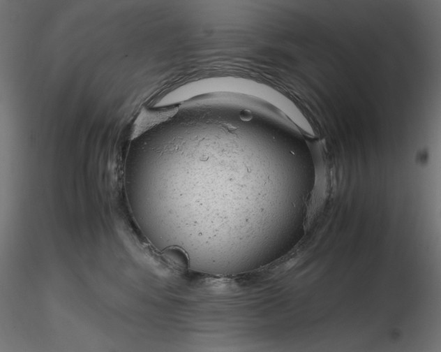 X0000116640424200912291559