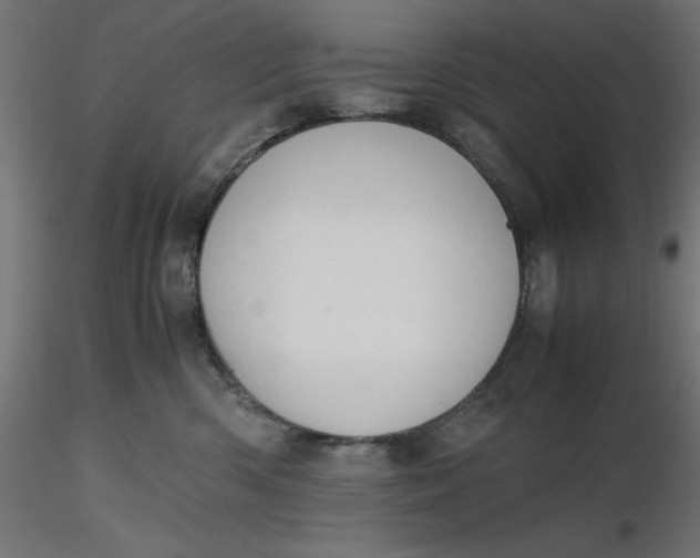 X0000116640426200912291559