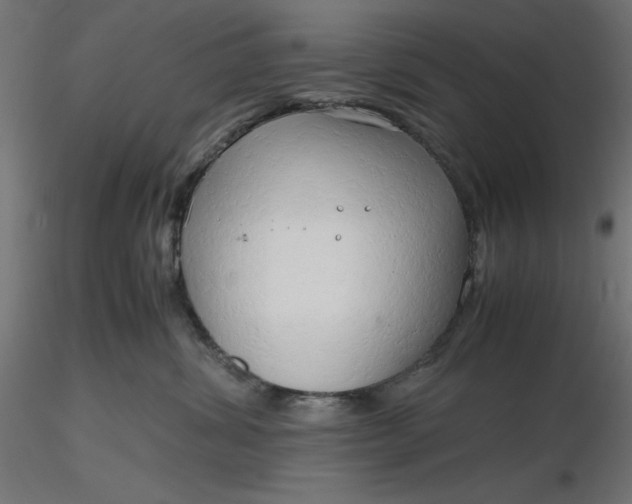 X0000116640428200912291559