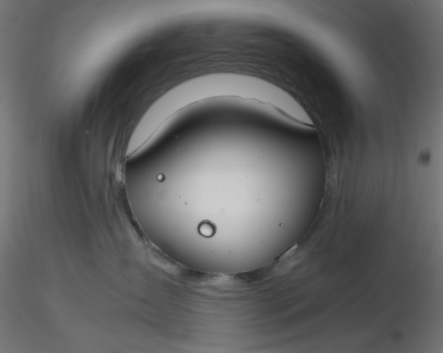 X0000116640431200912291559