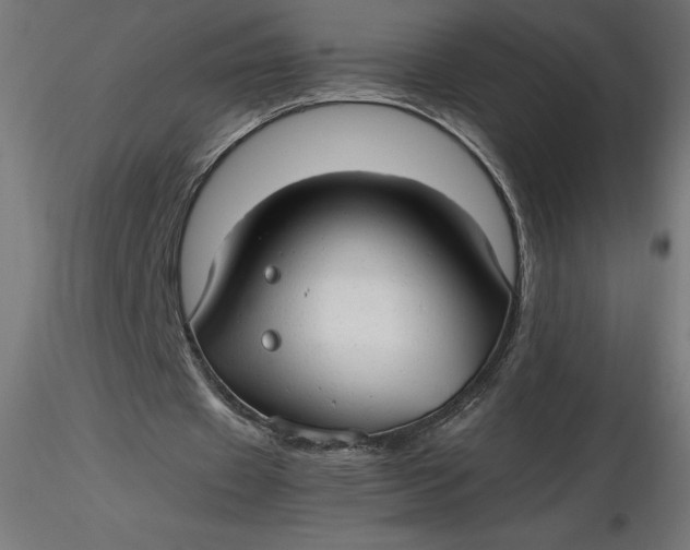 X0000116640433200912291558