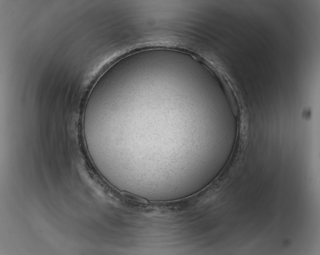 X0000116640434200912291558