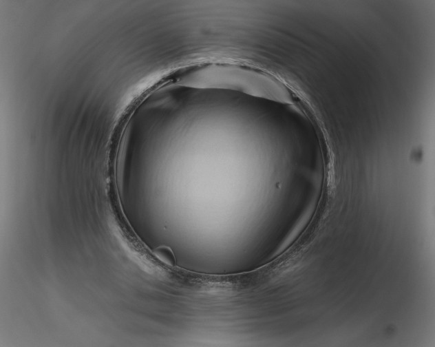 X0000116640438200912291558