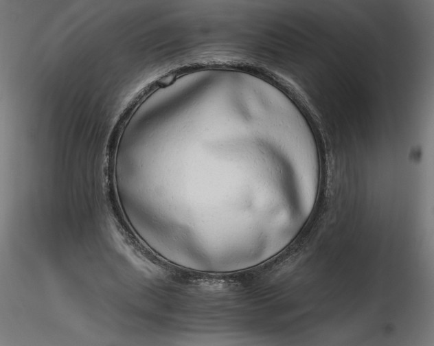 X0000116640439200912291558