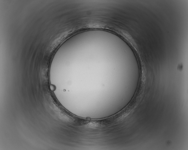 X0000116640441200912291558