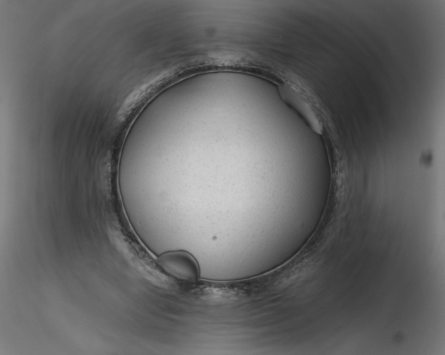 X0000116640442200912291558