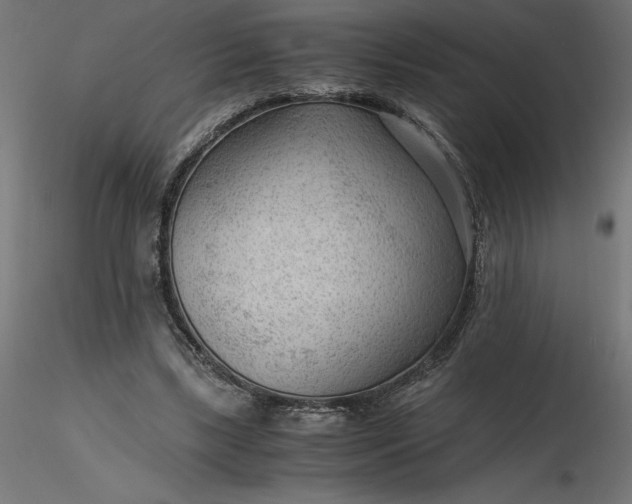 X0000116640443200912291558