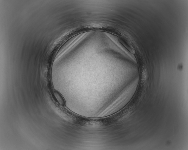 X0000116640444200912291558