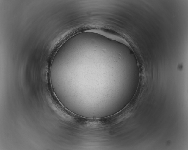 X0000116640446200912291558