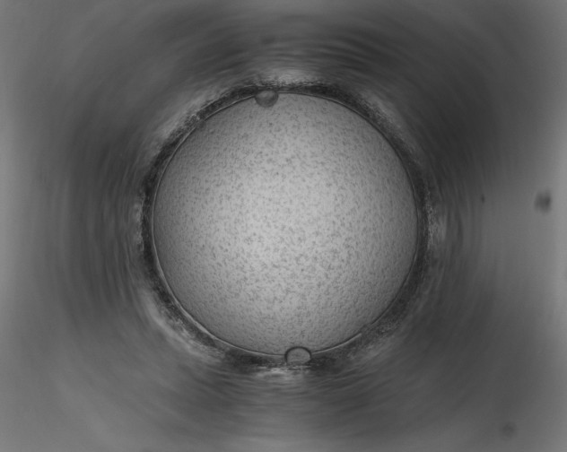 X0000116640447200912291559