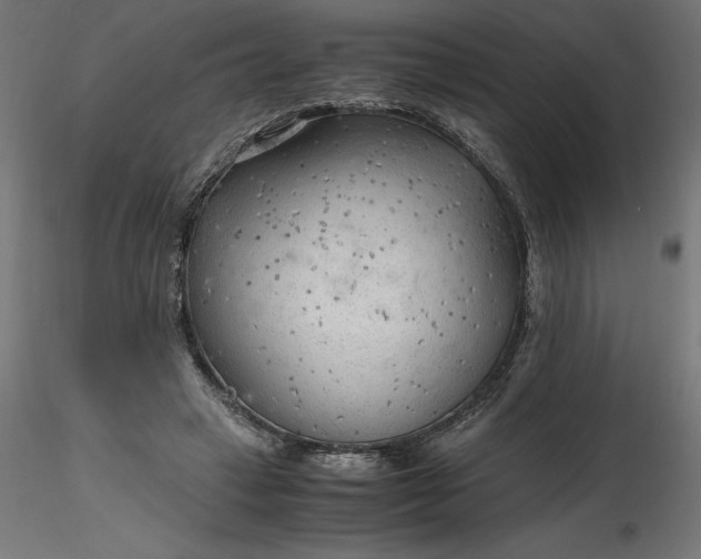 X0000116640449200912291559