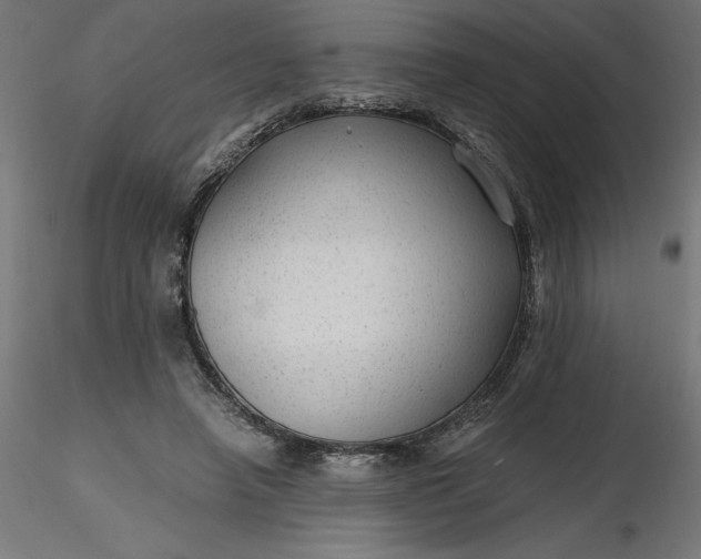 X0000116640450200912291559