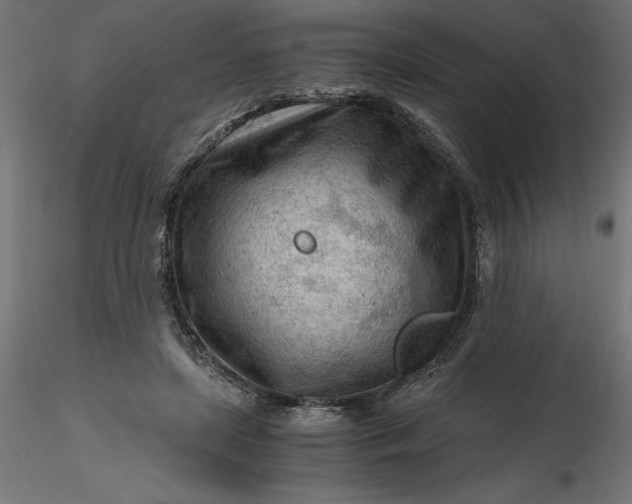 X0000116640451200912291559