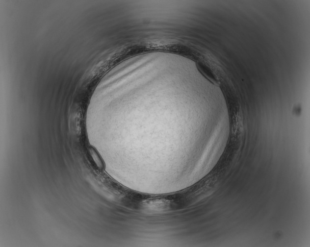 X0000116640452200912291559