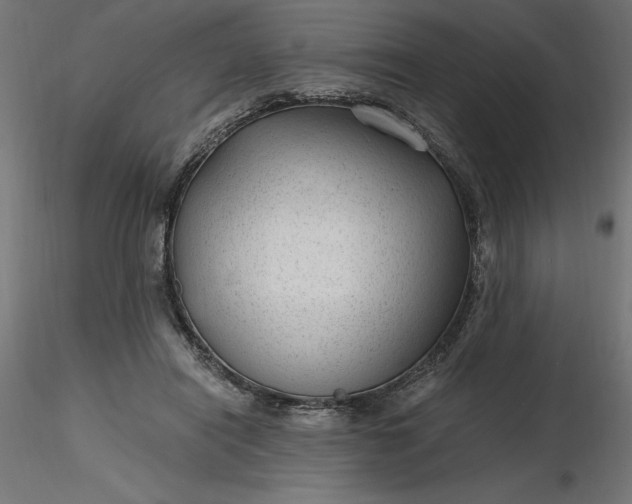 X0000116640454200912291559