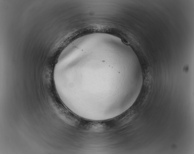 X0000116640456200912291559