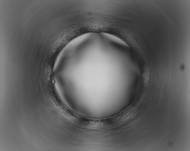 X0000116640458200912291559