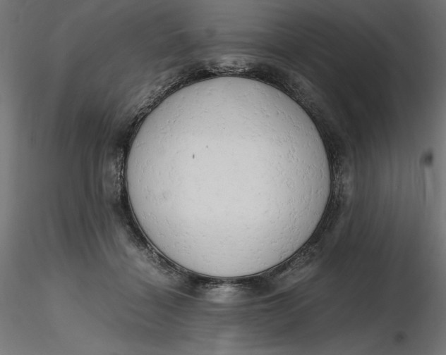 X0000116640460200912291559