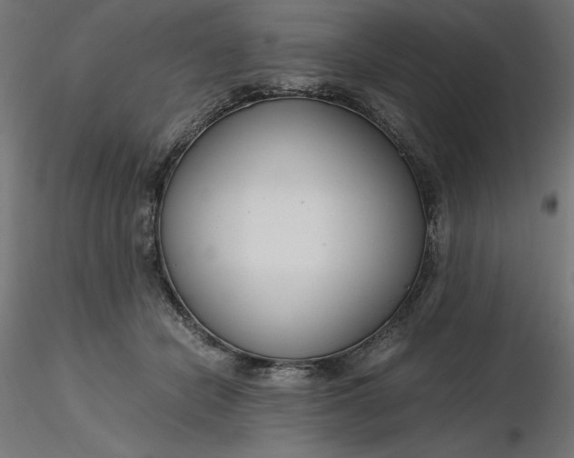 X0000116640462200912291559