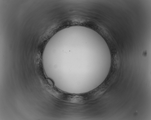 X0000116640463200912291559