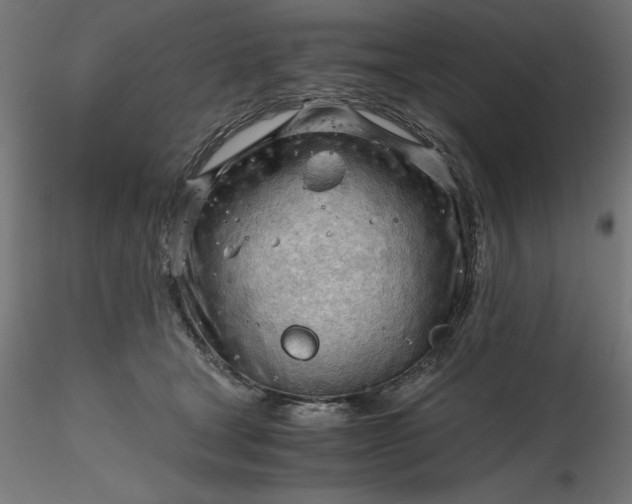 X0000116640465200912291559