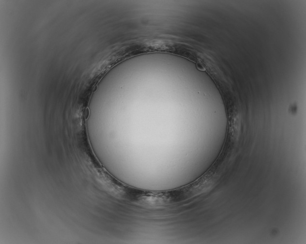 X0000116640466200912291559