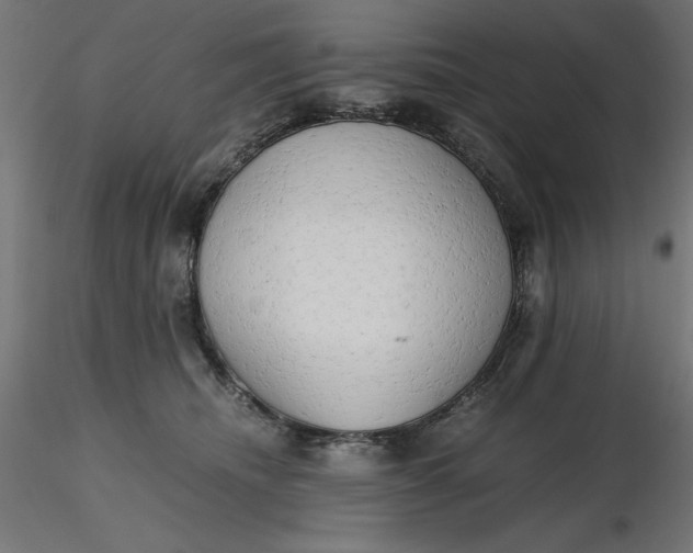 X0000116640468200912291559