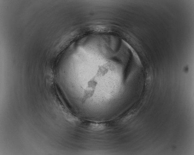 X0000116640469200912291559