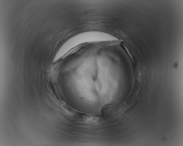 X0000116640471200912291559